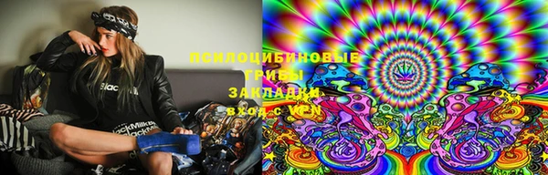 стафф Арсеньев