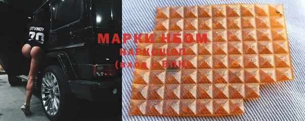 индика Аркадак