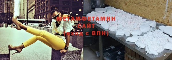 индика Аркадак